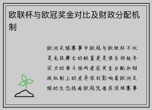 欧联杯与欧冠奖金对比及财政分配机制